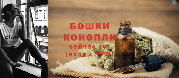 мдпв Тавда