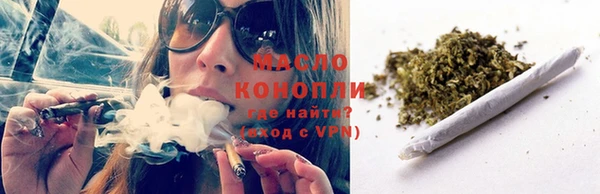 мдпв Тавда