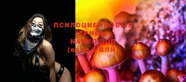дмт Тихвин