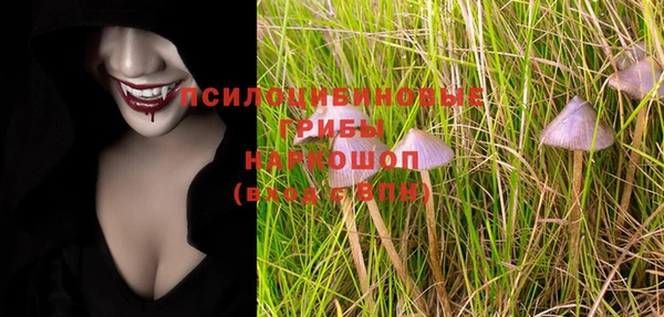 мдпв Тавда