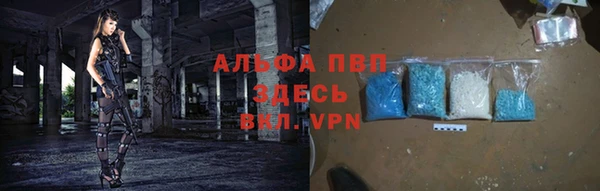 крисы Сясьстрой