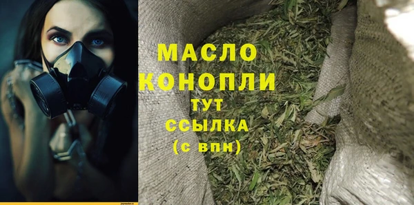 крисы Сясьстрой