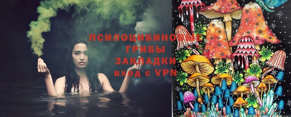 мдпв Тавда