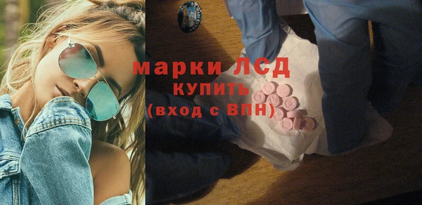 ECSTASY Тайга