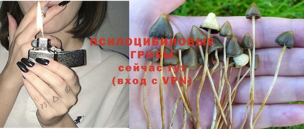 мдпв Тавда