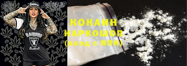 ECSTASY Тайга