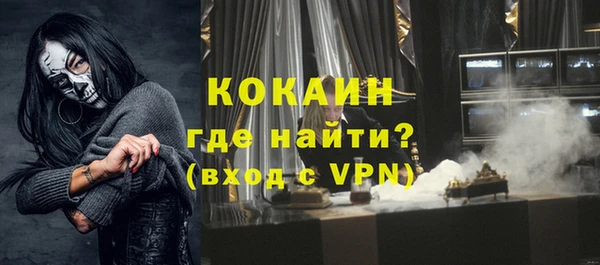 ECSTASY Тайга