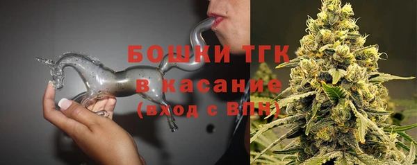 мдпв Тавда
