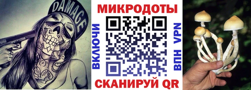 Псилоцибиновые грибы прущие грибы  hydra ONION  Динская 